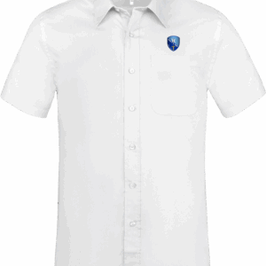 white_plexus